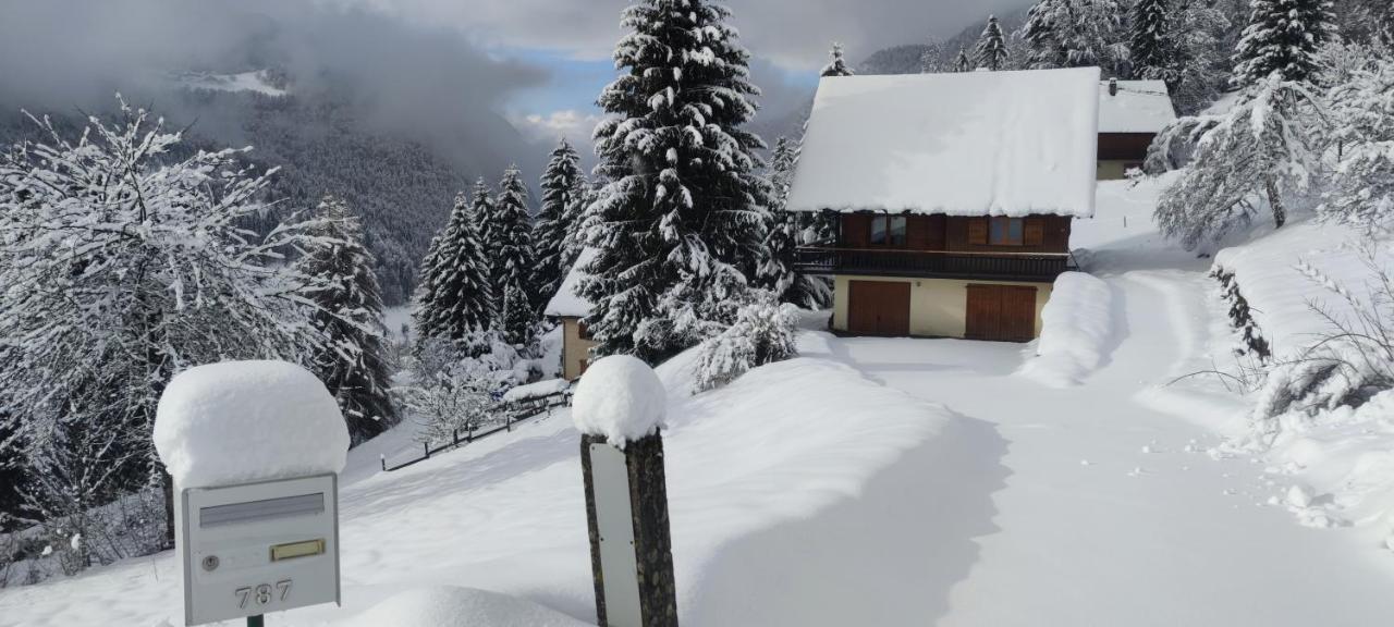 Chalet L'Alpe Saint-Pierre-d'Entremont  Eksteriør billede
